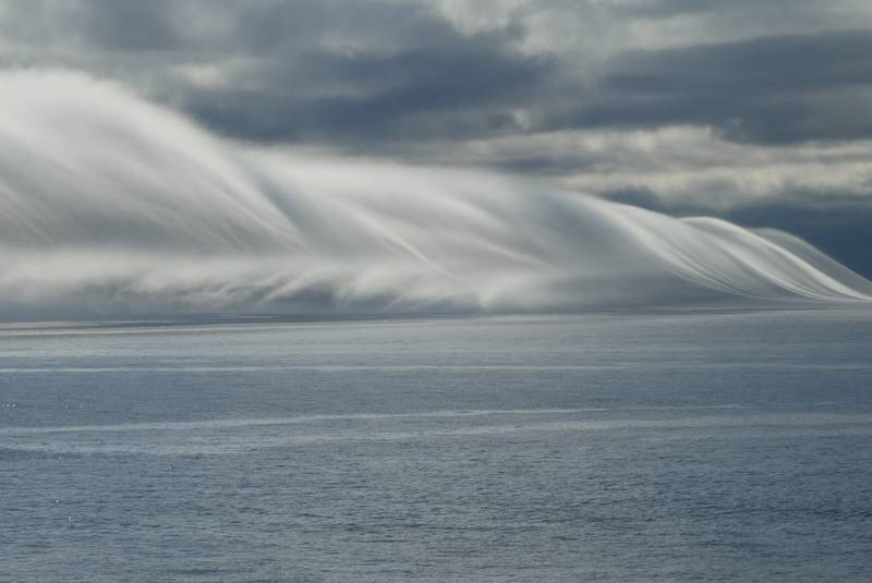 advection fog - white wake sailing